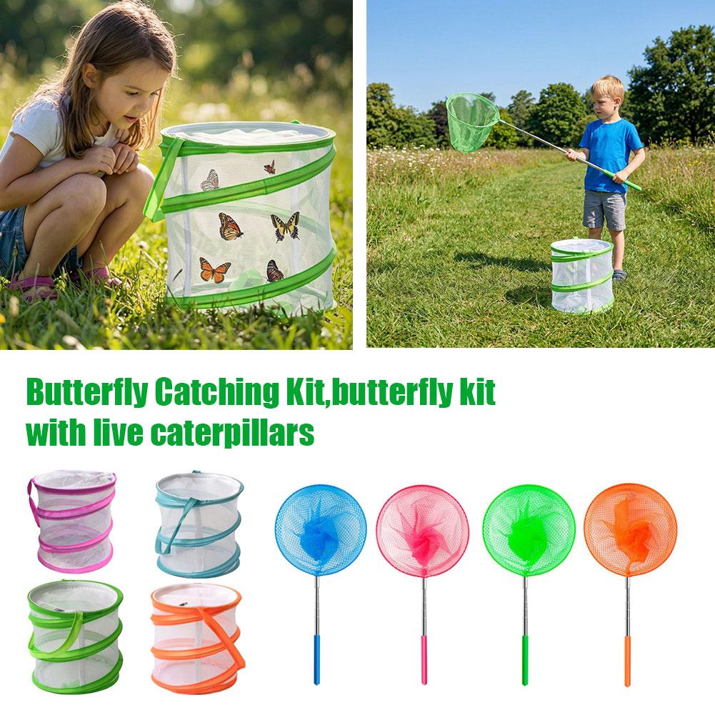 Kit per Catturare Farfalle per - Kids Outdoor Net recensione e prezzo